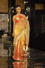 Model walk the ramp for Shane Falguni Show at Amby Valley India Bridal Week day 4 on 26th Sept 2011 (33).JPG
